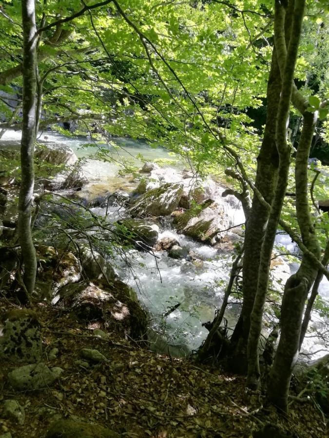 Casa Antonia Villa Vilaller Dış mekan fotoğraf